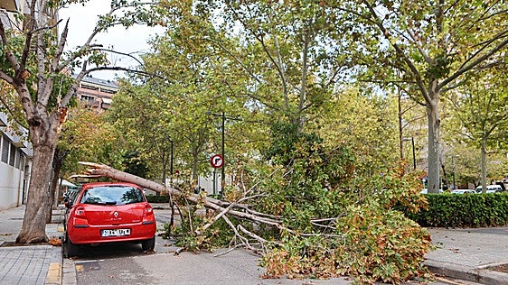 La alerta por lluvias se diluye tras causar más de un millar de incidencias en la Comunitat