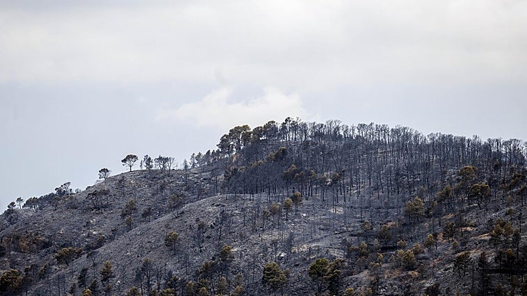 Extinguido el incendio de Tuéjar después de la reactivación del pasado sábado