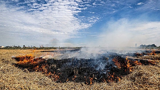 Comienza la quema de la paja del arroz al sur de la Albufera
