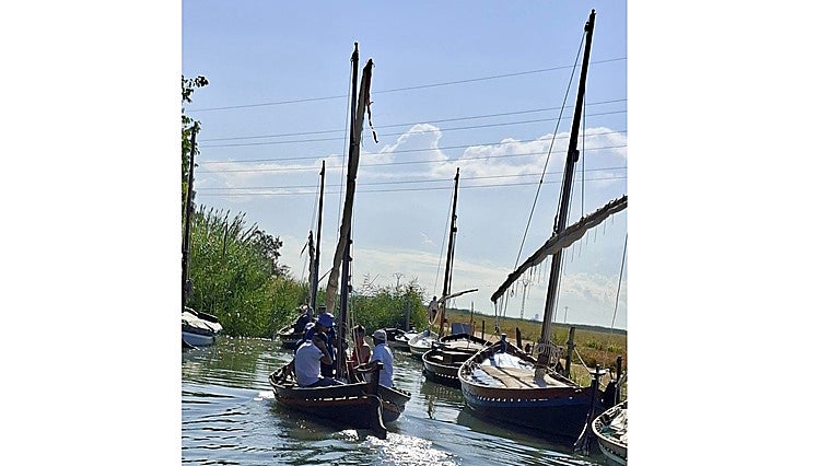 La vela llatina vuelve a dibujar su paisaje sobre l'Albufera