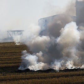 Quema de la paja del arroz en un campo.