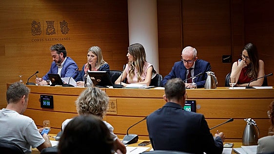 Ortí defiende su plan de mejora para la escuela pública y repudia la herencia botánica: «Hay que tener estómago para ponerse ahora detrás de la pancarta»