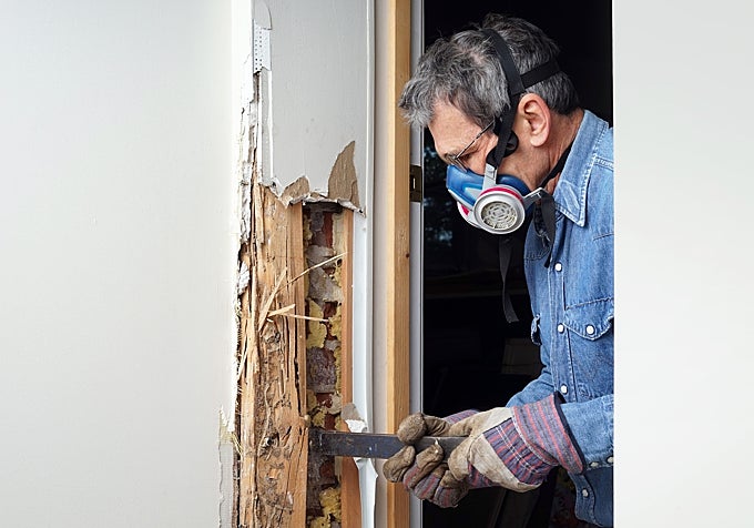 Un hombre buscando el foco de una infestación de plagas.