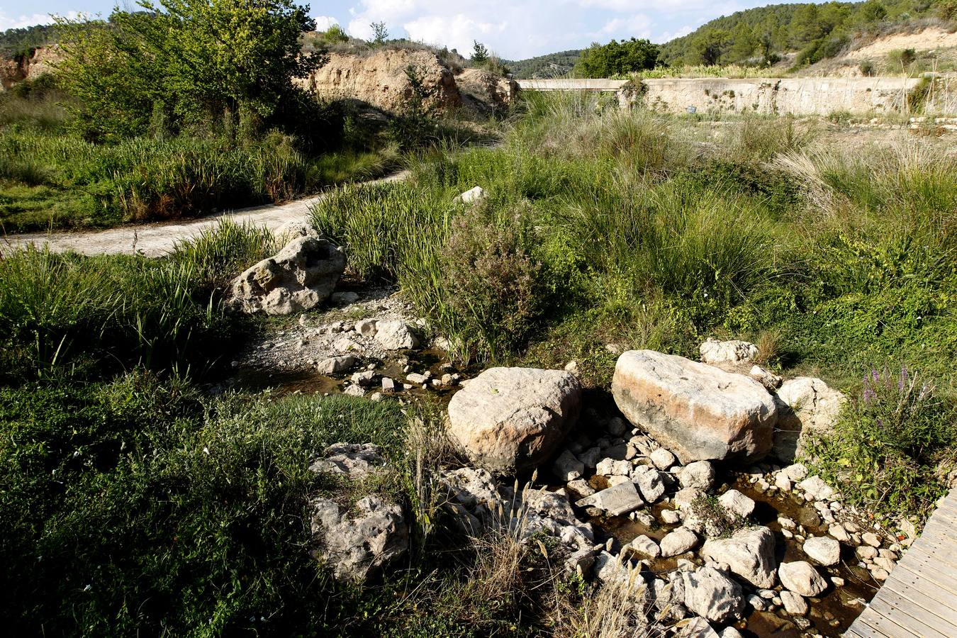 Río Magro. Estado actual del cauce.