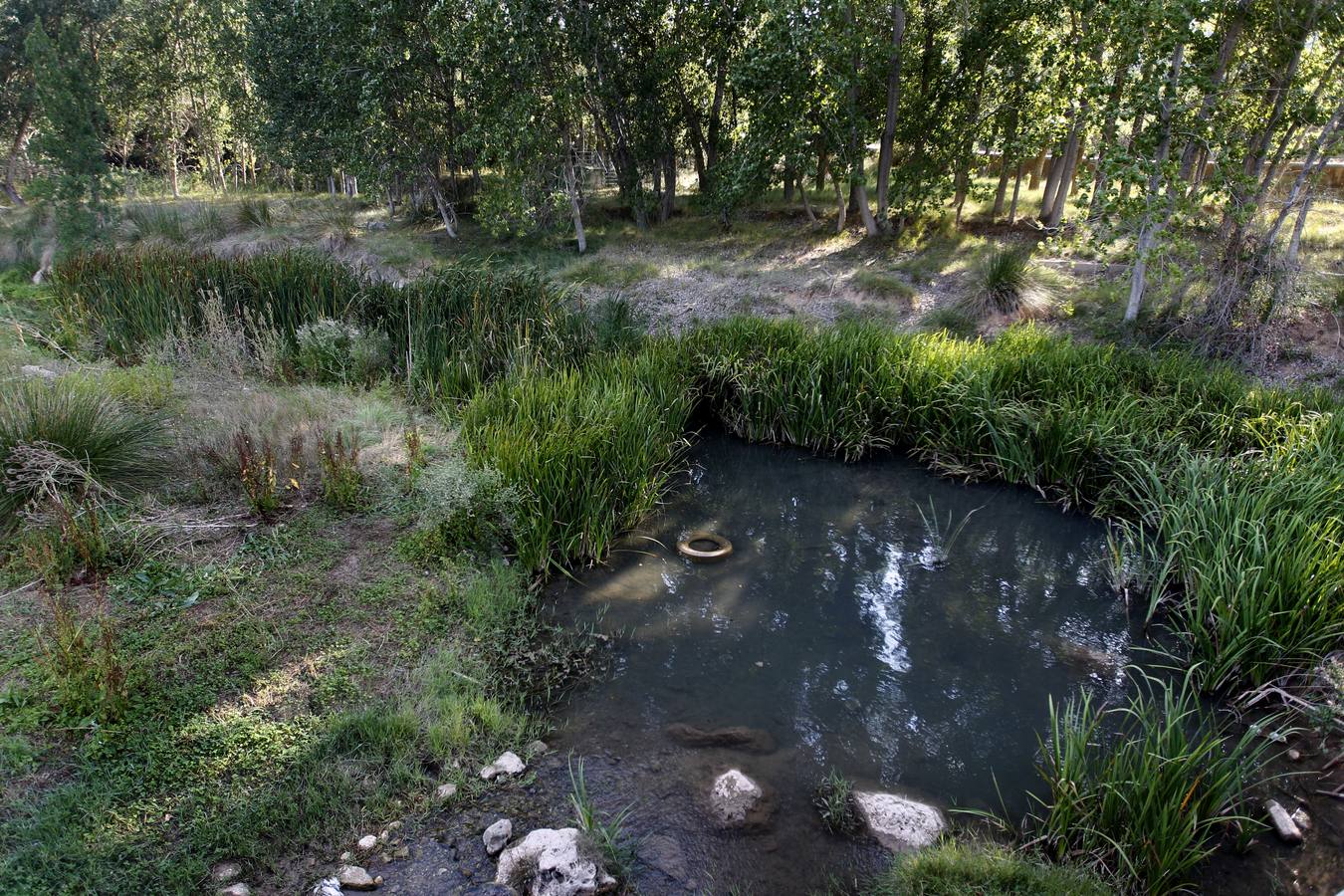 Río Magro. Estado actual del cauce.