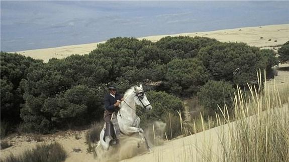 Un peregrino atraviesa el parque nacional de Doñana durante el Rocío. 