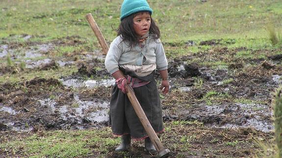 Una niña peruana trabaja en el campo. 