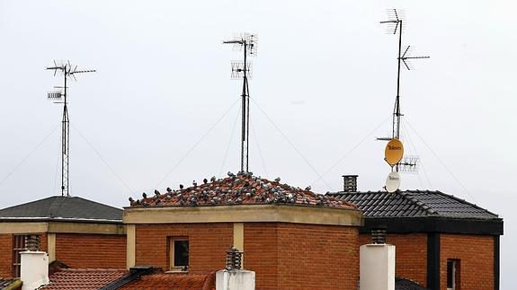 El Gobierno amplía hasta marzo el plazo para reantenizar los edificios