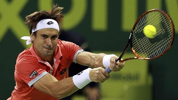 David Ferrer. 