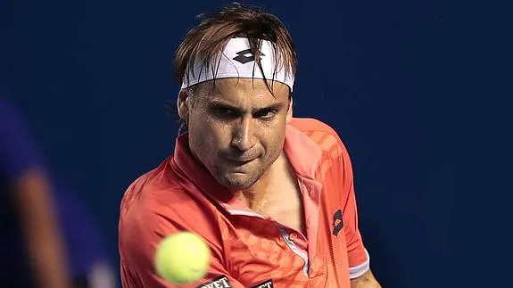 David Ferrer. 