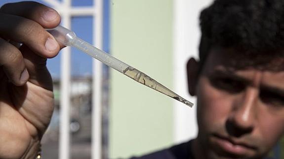 n agente municipal de salud extrae una larva del mosquito Aedes aegypt.