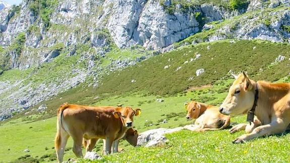 Montañas asturianas.