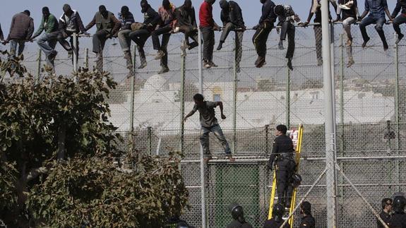 Varios de los inmigrantes de origen subsahariano encaramados a la valla de Melilla.