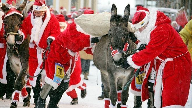 Carrera a burro en el Campeonato del Mundo de Papá Noel