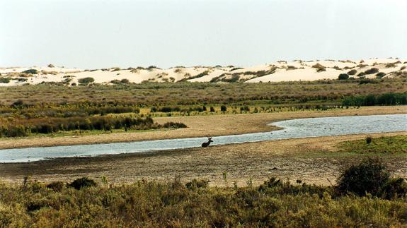 Vista del Parque Nacional de Doñana.