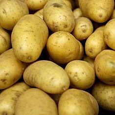 Patatas.