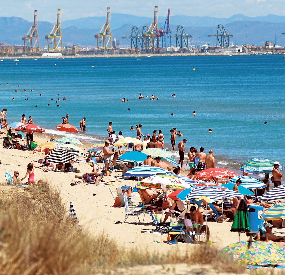 El temporal y el viento de levante llenan  de micromedusas las playas de El Saler