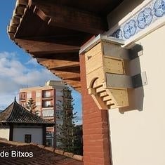 Uno de los nidos que se han colocado en el mercado municipal. :: LP
