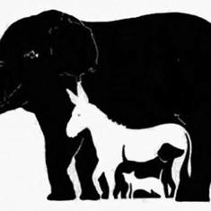 ¿Cuántos animales ves?