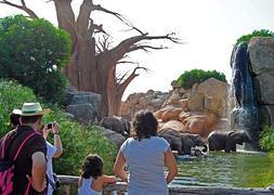 Una familia observa a los elefantes. / Bioparc