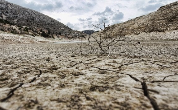 Agricultura analizará cada diez días la sequía que afecta a la Comunitat Valenciana