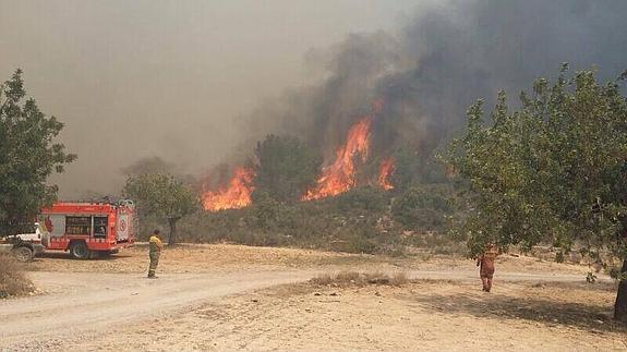 Los bomberos tratan de sofocar el incendio de Pedralba.