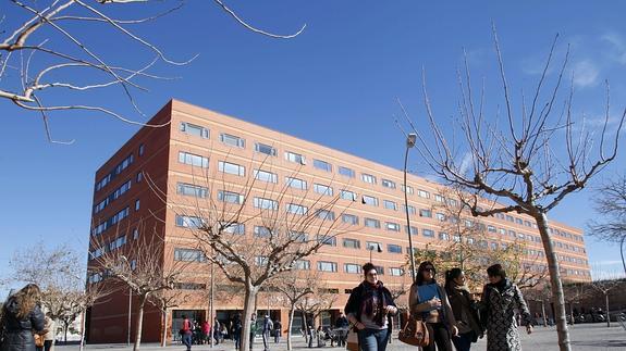 Alumnos en el campus de Tarongers