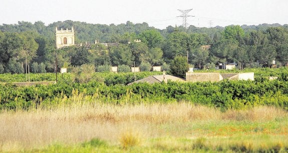 Una de las zonas boscosas protegidas de La Vallesa donde se intervendrá. :: juan j. monzó