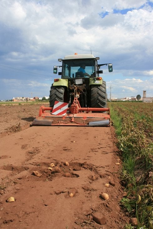 Un tractor pasa de 'rotovátor' un campo de patatas. :: h. alepuz/AVA
