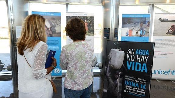 El agua protagoniza una muestra en L'Oceanogràfic