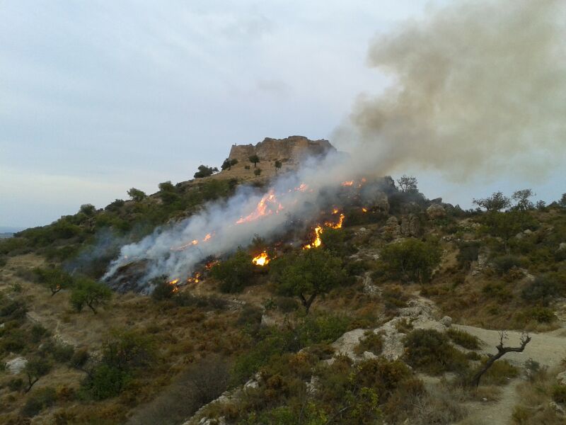 Incendio en la ladera del Castillo de Sagunto