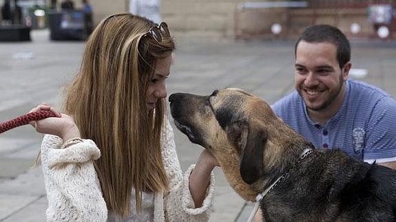 Una joven, junto a un perro en una feria de adopción.