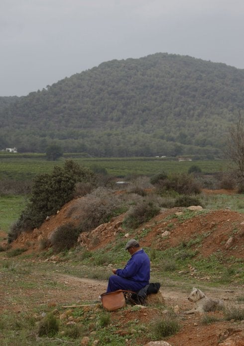 Un pastor descansa en la partida de Porchinos.