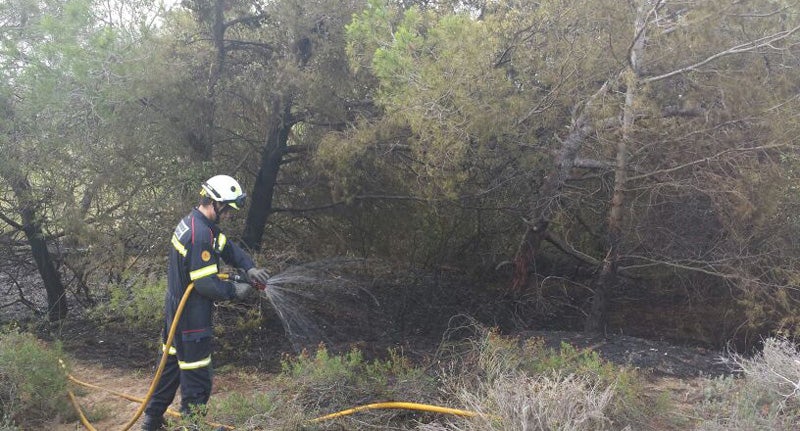 Un incendio en El Saler quema 3.000 metros cuadrados junto al colegio Luis de Santángel