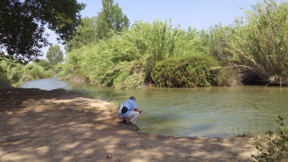 El río Turia, a su paso por las proximidades del centro de atención al turista de Vilamarxant, ayer. :: d. g.