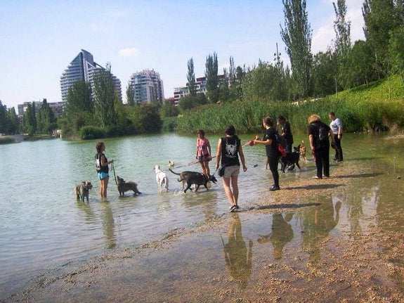 Voluntarios paseando a perros en el parque de Cabecera, en una imagen cedida por Modepran. :: lp