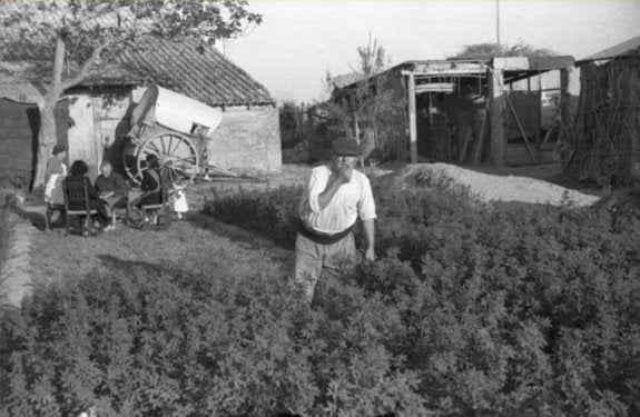 De la huerta a la ciudad. La avenida Tres Forques era antes una zona agrícola donde el asfalto brillaba por su ausencia, como se observa en la imagen. :: lp