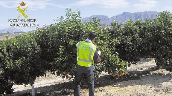 Un equipo ROCA contra robos en el campo de la Guardia Civil.