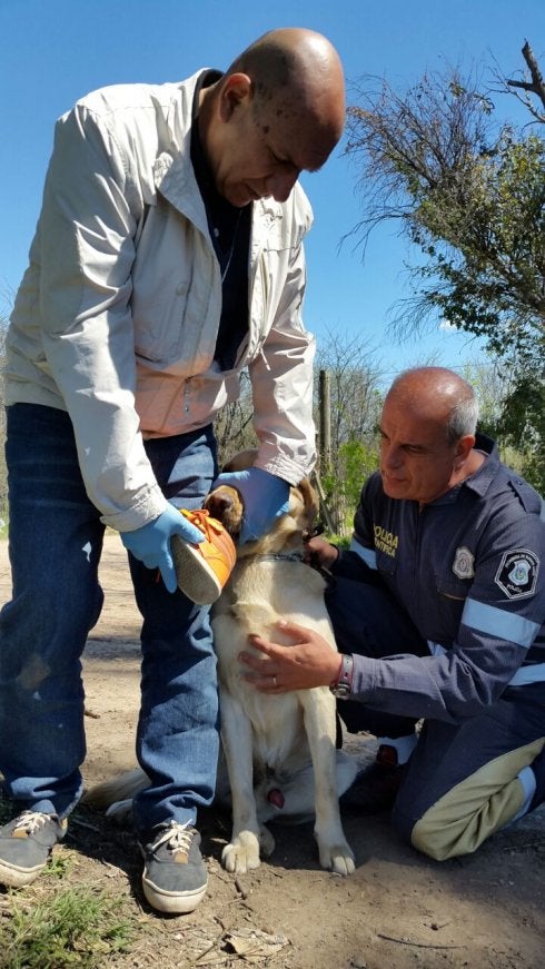 El experto Mario Rosillo (i) realiza un peritaje canino. :: Lp