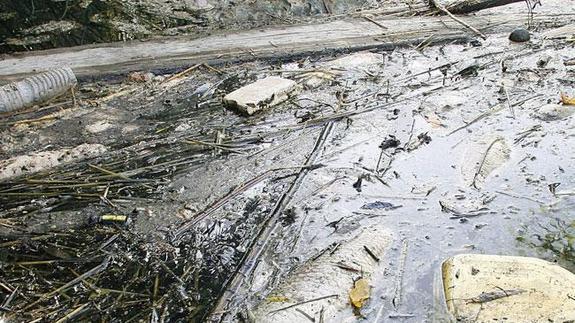 La avalancha de peces muertos en el lago artificial de El Saler dispara las alarmas