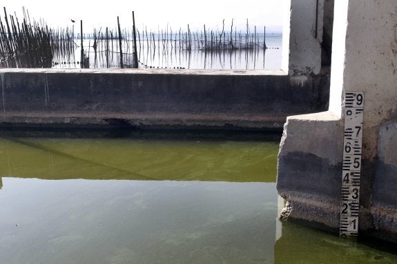 Una de las golas de la Albufera, en una imagen tomado ayer. :: IRENE MARSILLA