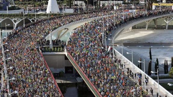 Salida del Maratón de Valencia 2014 y la 10K.