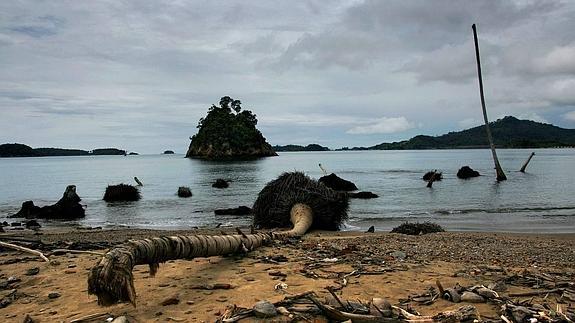 Basura en una playa de la costa de Aceh, en Indonesia, un año después del tsunami