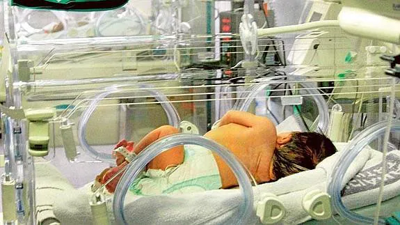 Un bebé prematuro hospitalizado en un centro sanitario valenciano.