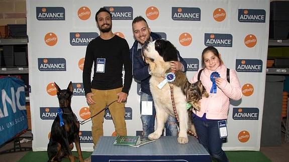 Tula, el perro más simpático de Paterna