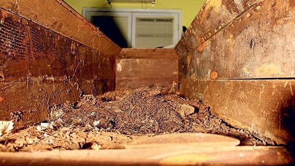 El interior del ataúd, muy deteriorado por los dieciocho años que estuvo bajo tierra.