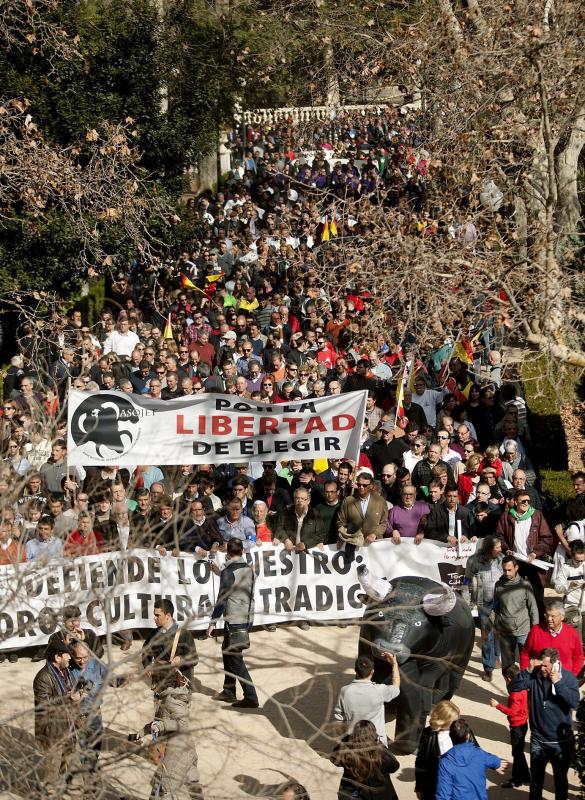 Masiva manifestación a favor del toro