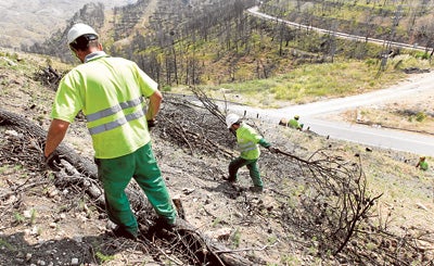 Extracción de madera quemada por incendios en los montes de Dos Aguas.