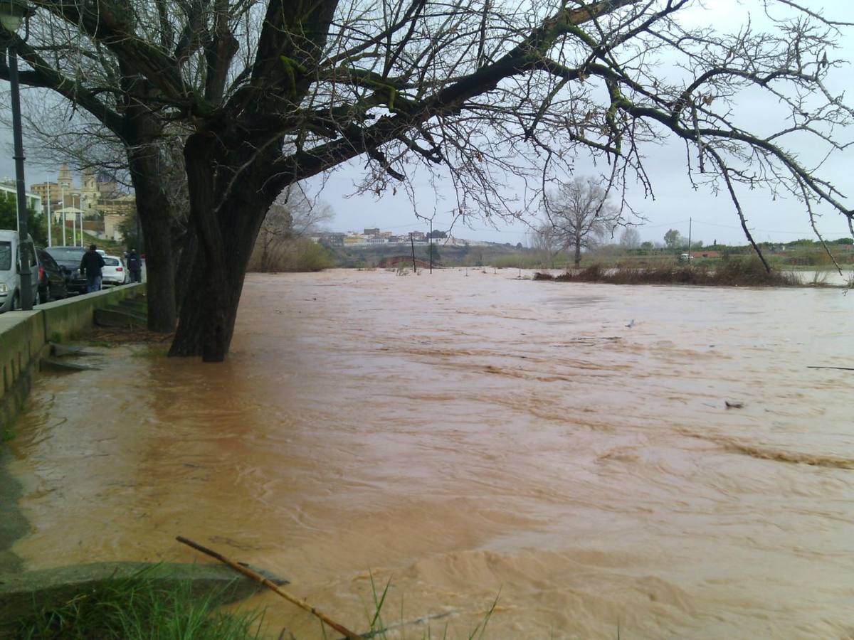 El Turia hoy a su paso por Ribarroja.