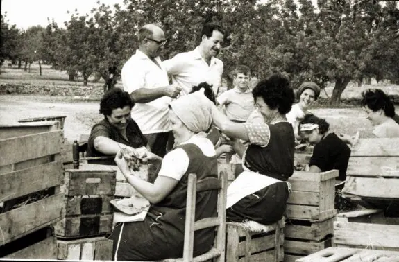 Vecinos de Náquera lavan uva en 1963, cuando los cajones ya sustituían a los cestos.